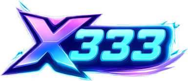x333